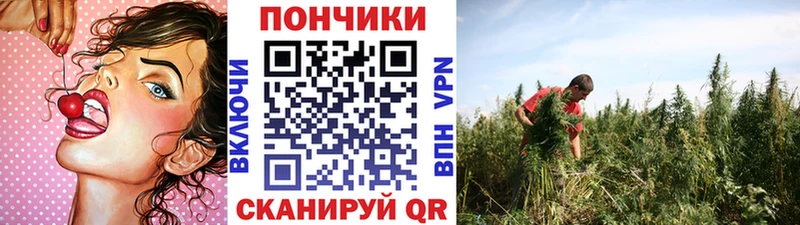 Купить Кокаин  МЕФ  Кетамин  Каннабис  ГАШ  СОЛЬ  Могоча