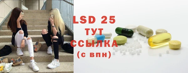 спиды Богородицк