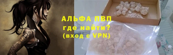 спиды Богородицк