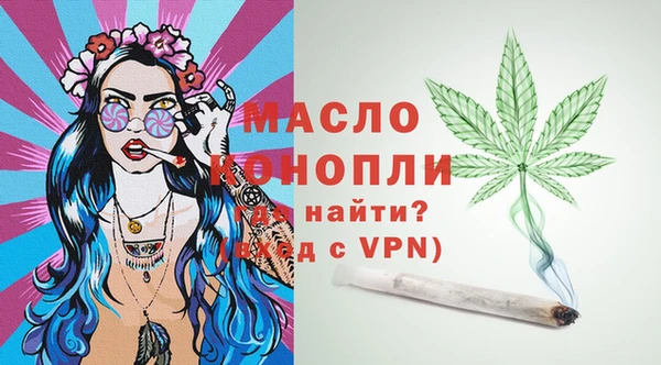 спиды Богородицк