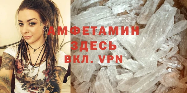 ГАЛЛЮЦИНОГЕННЫЕ ГРИБЫ Бородино