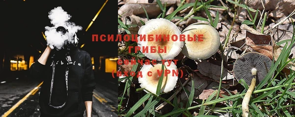ГАЛЛЮЦИНОГЕННЫЕ ГРИБЫ Бородино