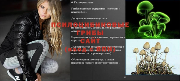 2c-b Богородск