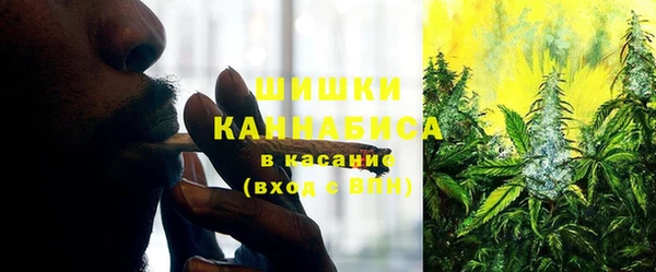 спиды Богородицк