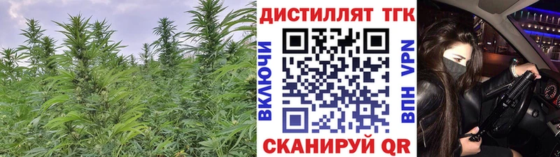 ТГК гашишное масло Купить где Могоча