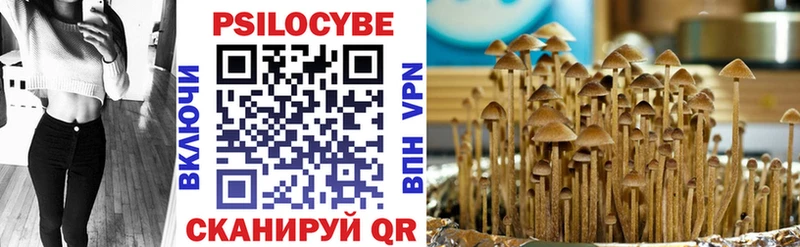 Купить где  Могоча  Псилоцибиновые грибы ЛСД 