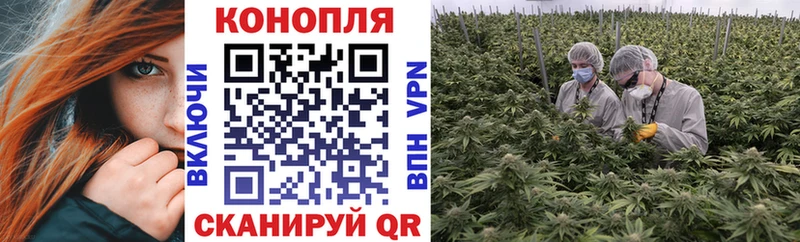 Купить закладки  Могоча  Шишки марихуана конопля 